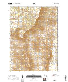 2020 Map of V Lake, 2020 Print