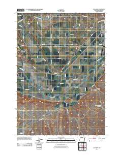 2011 Map of Vale West, 2011 Print