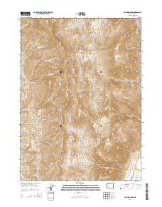 2014 Map of Van Horn Basin, 2014 Print