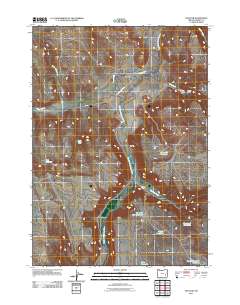 2011 Map of Venator, 2011 Print