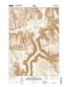 2014 Map of Venator, 2014 Print