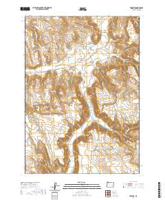 2020 Map of Venator, 2020 Print