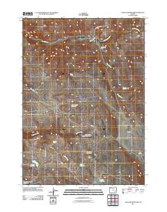 2011 Map of Venator Reservoir, 2011 Print