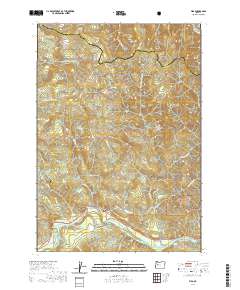 2020 Map of Vida, 2020 Print