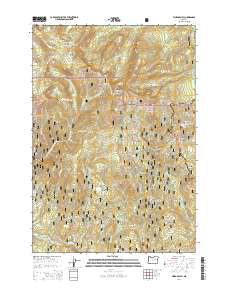 2014 Map of Vinegar Hill, 2014 Print