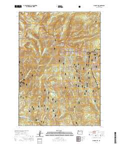 2020 Map of Vinegar Hill, 2020 Print