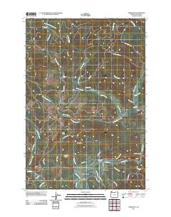 2011 Map of Vinemaple, 2011 Print