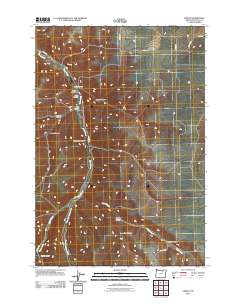 2011 Map of Vinson, 2011 Print
