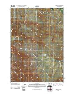 2011 Map of Virtue Flat, 2011 Print