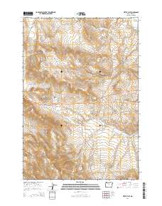 2014 Map of Virtue Flat, 2014 Print