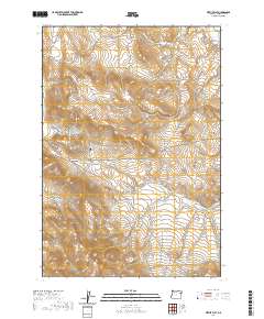 2020 Map of Virtue Flat, 2020 Print