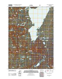 2011 Map of Waldo Lake, 2011 Print