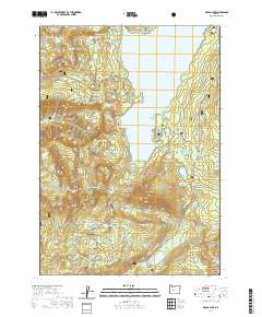 2020 Map of Waldo Lake, 2020 Print