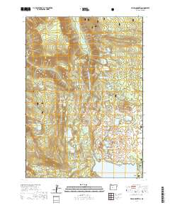 2020 Map of Waldo Mountain, 2020 Print