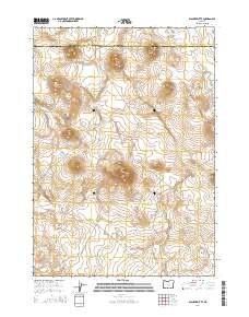 2014 Map of Walker Butte, 2014 Print