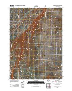 2011 Map of Walker Mountain, 2011 Print