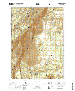 2020 Map of Walker Mountain, 2020 Print