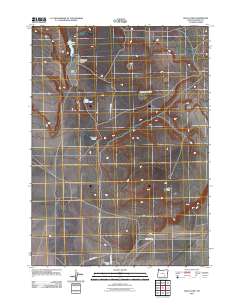2011 Map of Walls Lake, 2011 Print