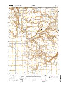 2014 Map of Walls Lake, 2014 Print