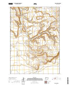2020 Map of Walls Lake, 2020 Print