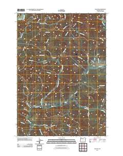 2011 Map of Walton, 2011 Print