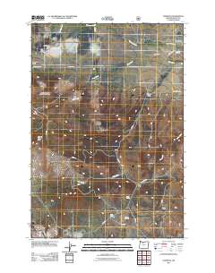 2011 Map of Wapinitia, 2011 Print