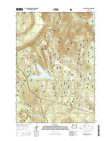 2014 Map of Wapinitia Pass, 2014 Print