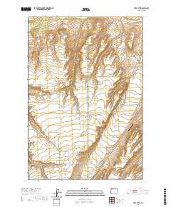 2020 Map of Ward Butte, 2020 Print