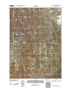 2011 Map of Warm Springs Creek, 2011 Print