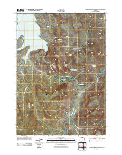 2011 Map of Warm Springs Reservoir, 2011 Print