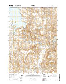 2014 Map of Warm Springs Reservoir, 2014 Print