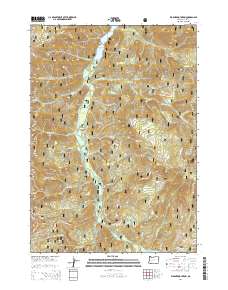 2014 Map of Warner Mountain, 2014 Print
