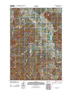 2011 Map of Waterloo, 2011 Print