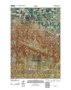 2011 Map of Waterman, 2011 Print