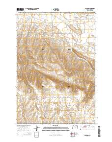 2014 Map of Waterman, 2014 Print