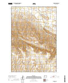 2020 Map of Waterman, 2020 Print