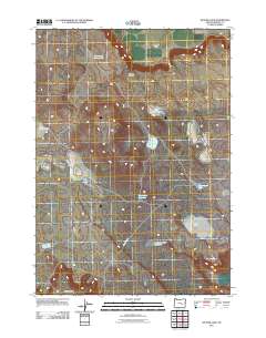 2011 Map of Weaver Lake, 2011 Print