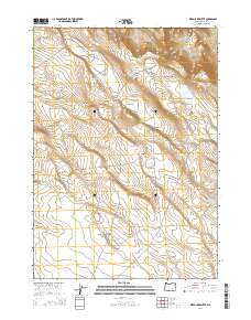 2014 Map of Weed Lake Butte, 2014 Print
