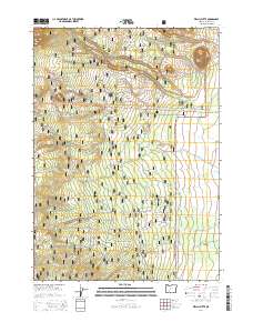2014 Map of Welch Butte, 2014 Print