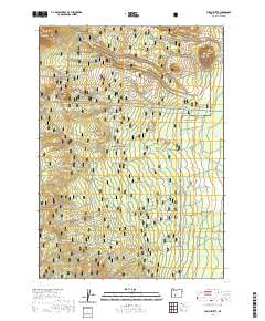 2020 Map of Welch Butte, 2020 Print