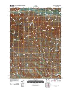 2011 Map of Wendt Butte, 2011 Print