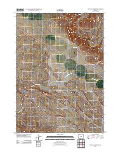 2011 Map of West of Hampton, 2011 Print