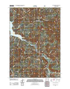 2011 Map of Westfir West, 2011 Print
