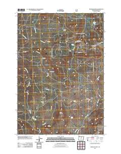 2011 Map of Wheeler Point, 2011 Print