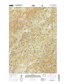 2014 Map of Whistler Point, 2014 Print
