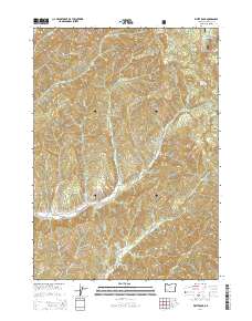 2014 Map of White Rock, 2014 Print