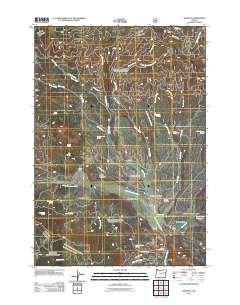 2011 Map of Whitney, 2011 Print