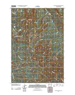 2011 Map of Wickiup Mountain, 2011 Print