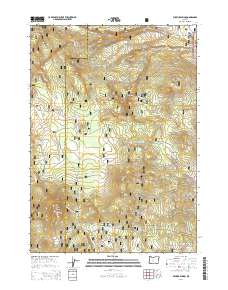 2014 Map of Wickiup Spring, 2014 Print
