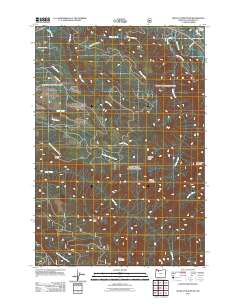 2011 Map of Wildcat Mountain, 2011 Print